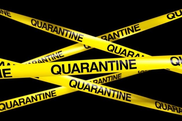 An Update From&nbsp;Quarantine